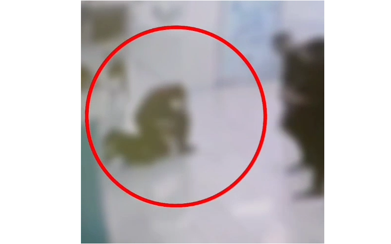 فيديو : اعتقال مدرس بالعيساوية في القدس بالاعتداء على طالب